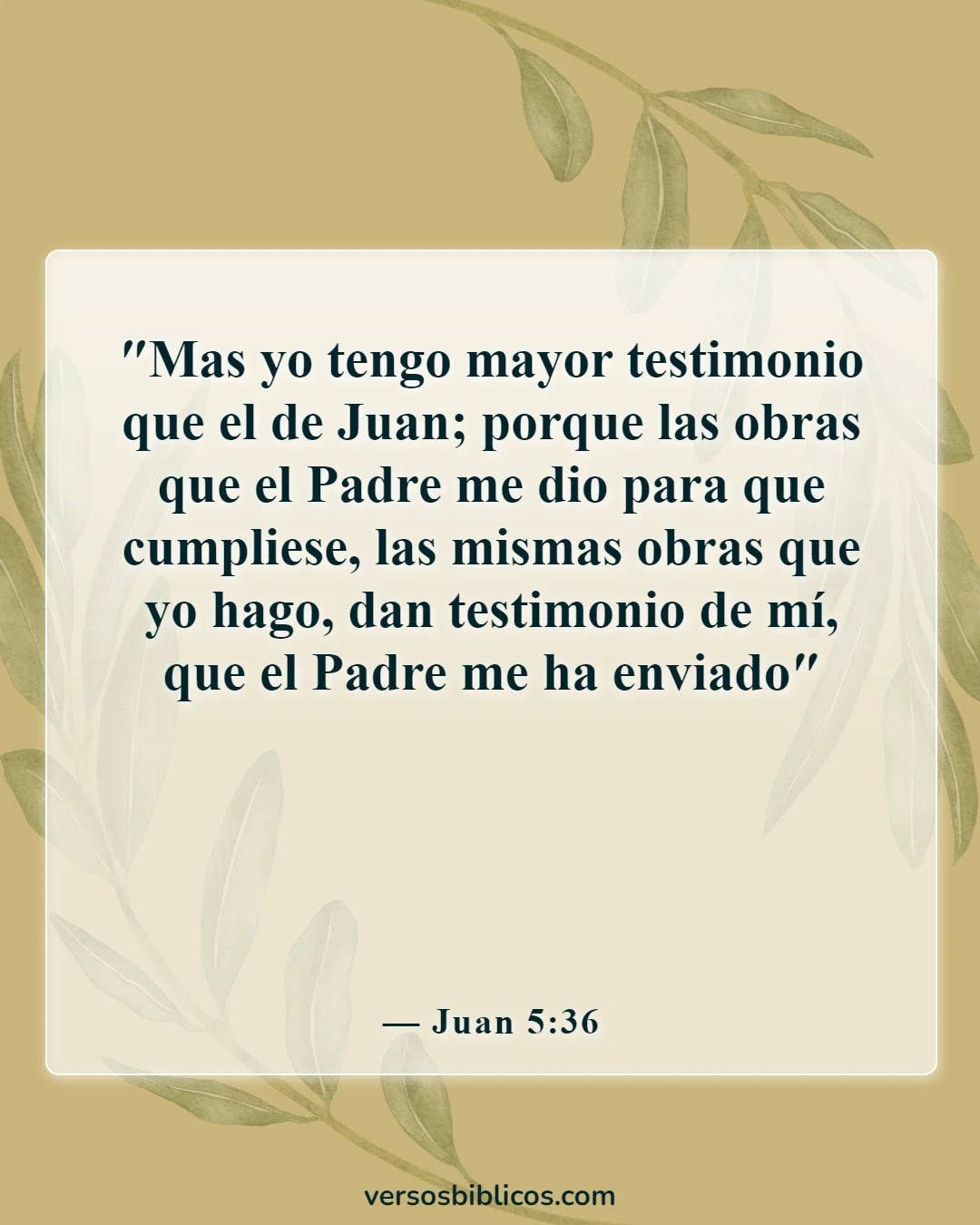 Versículos de la Biblia sobre el testimonio (Juan 5:36)