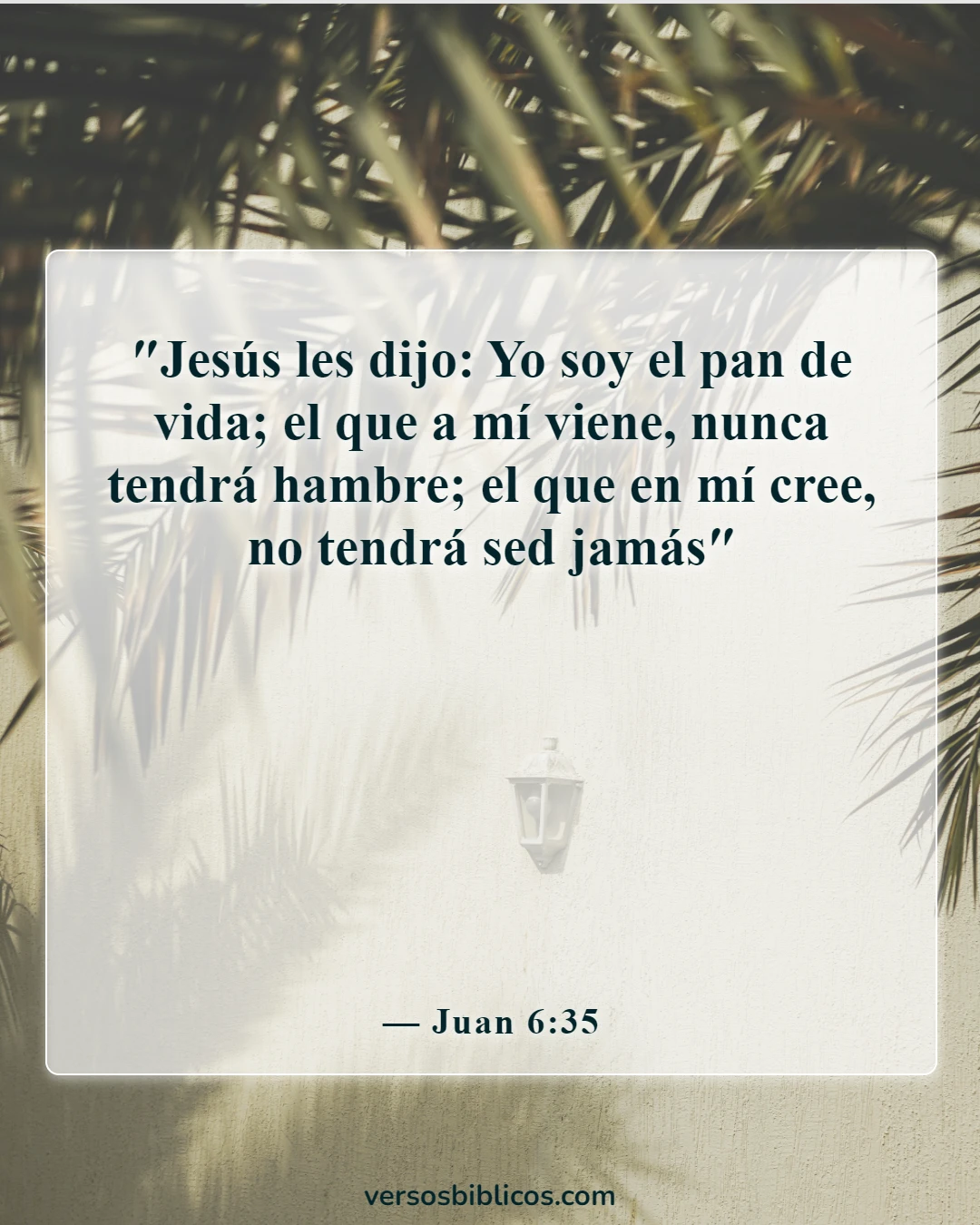 Versículos de la Biblia sobre alimento para el alma (Juan 6:35)