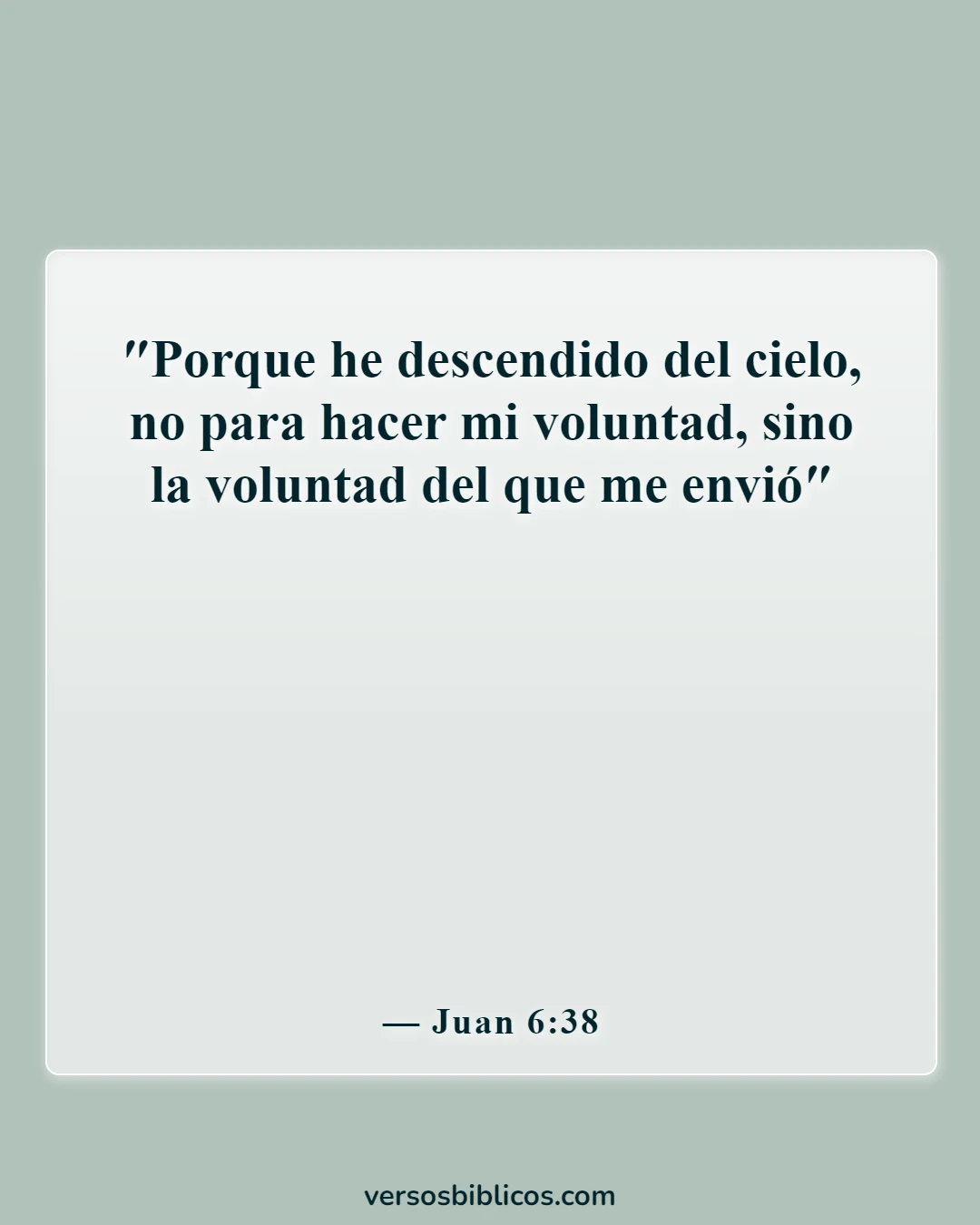 Versículos de la Biblia sobre Jesús haciendo la voluntad del Padre (Juan 6:38)