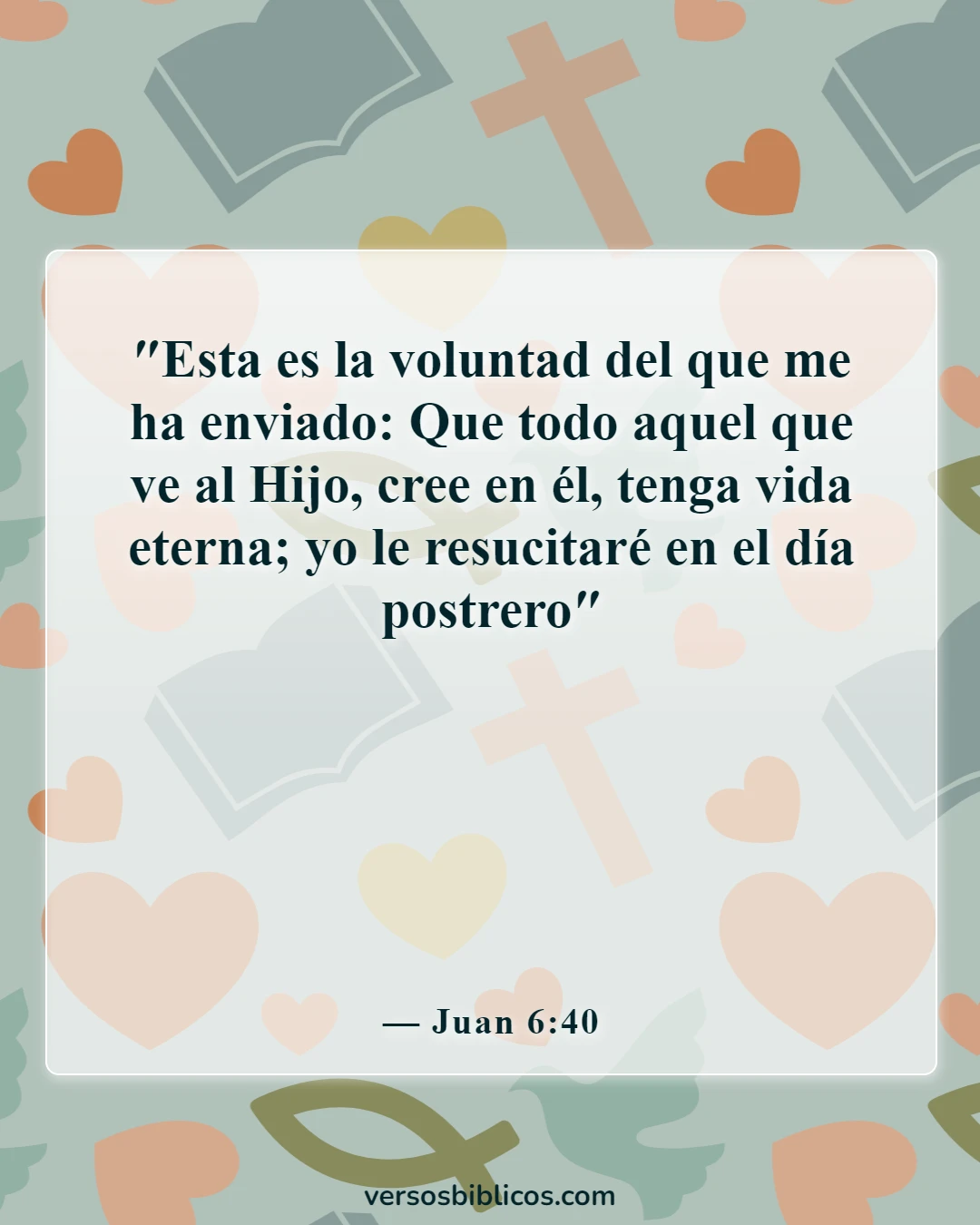 Versículos de la Biblia sobre el duelo por la pérdida de un ser querido (Juan 6:40)