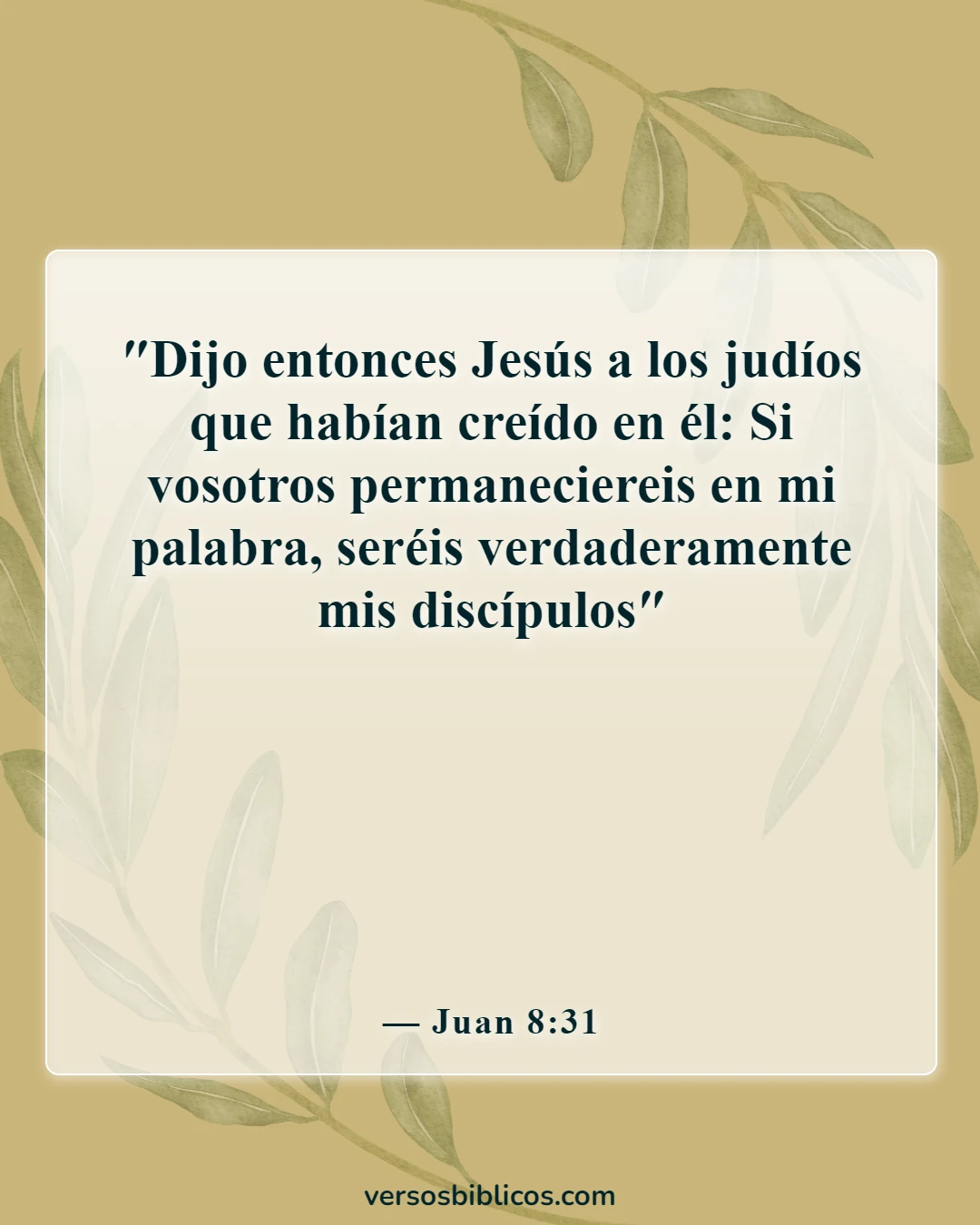 Versículos de la Biblia sobre sentirse más cerca de Dios (Juan 8:31)