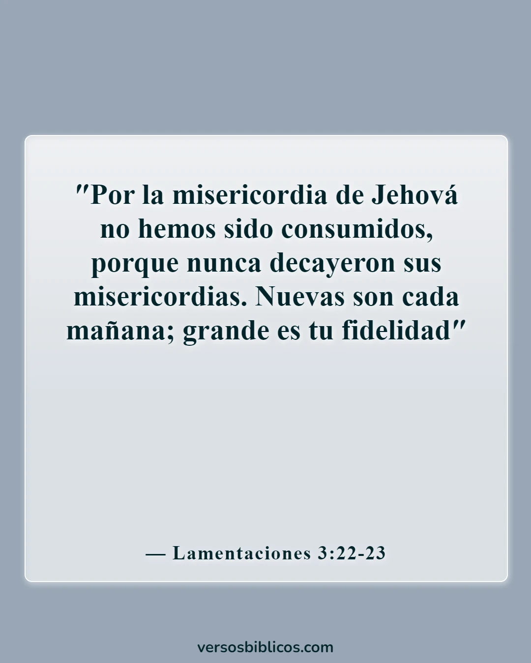 Versículos de la Biblia sobre el duelo por la pérdida de un ser querido (Lamentaciones 3:22-23)