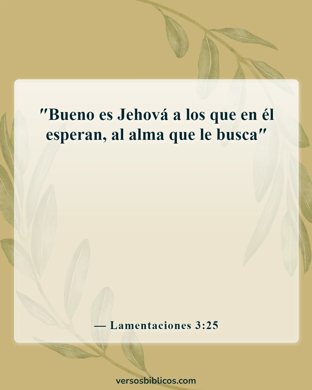 Versículos de la Biblia sobre no sentir la presencia de Dios (Lamentaciones 3:25)