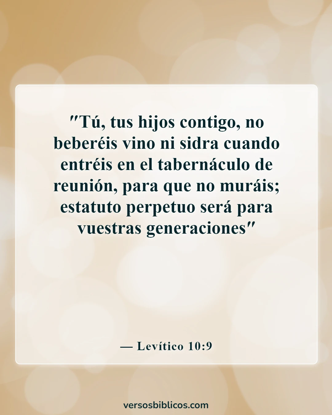 Versículos de la Biblia sobre la advertencia de beber vino y alcohol (Levítico 10:9)