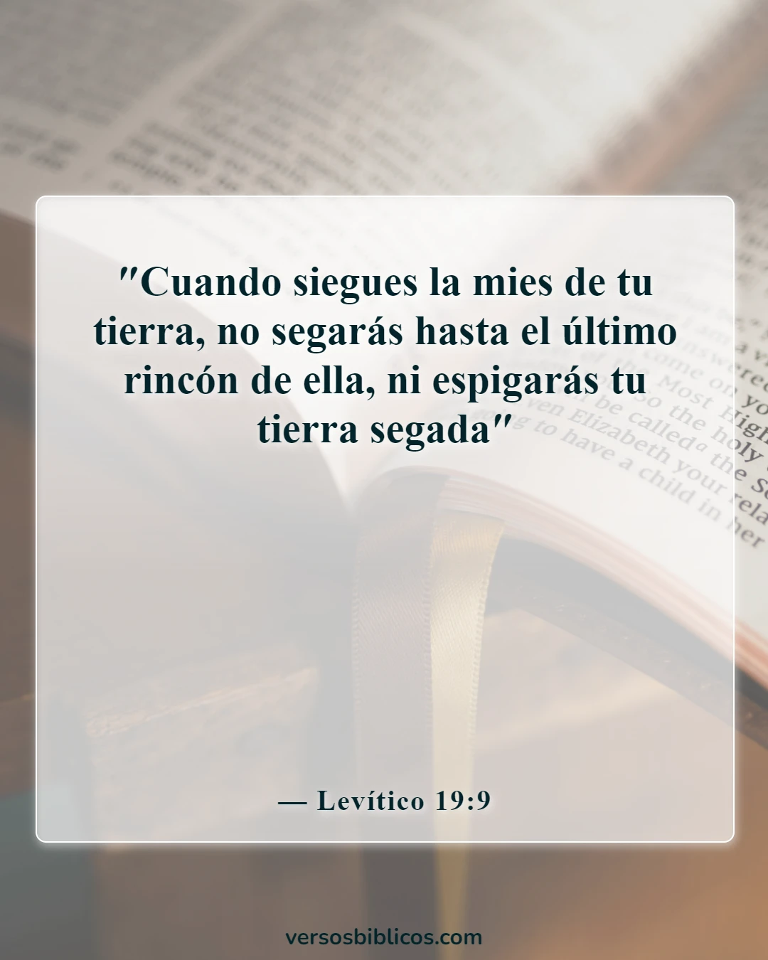 Versículos de la Biblia sobre la agricultura (Levítico 19:9)