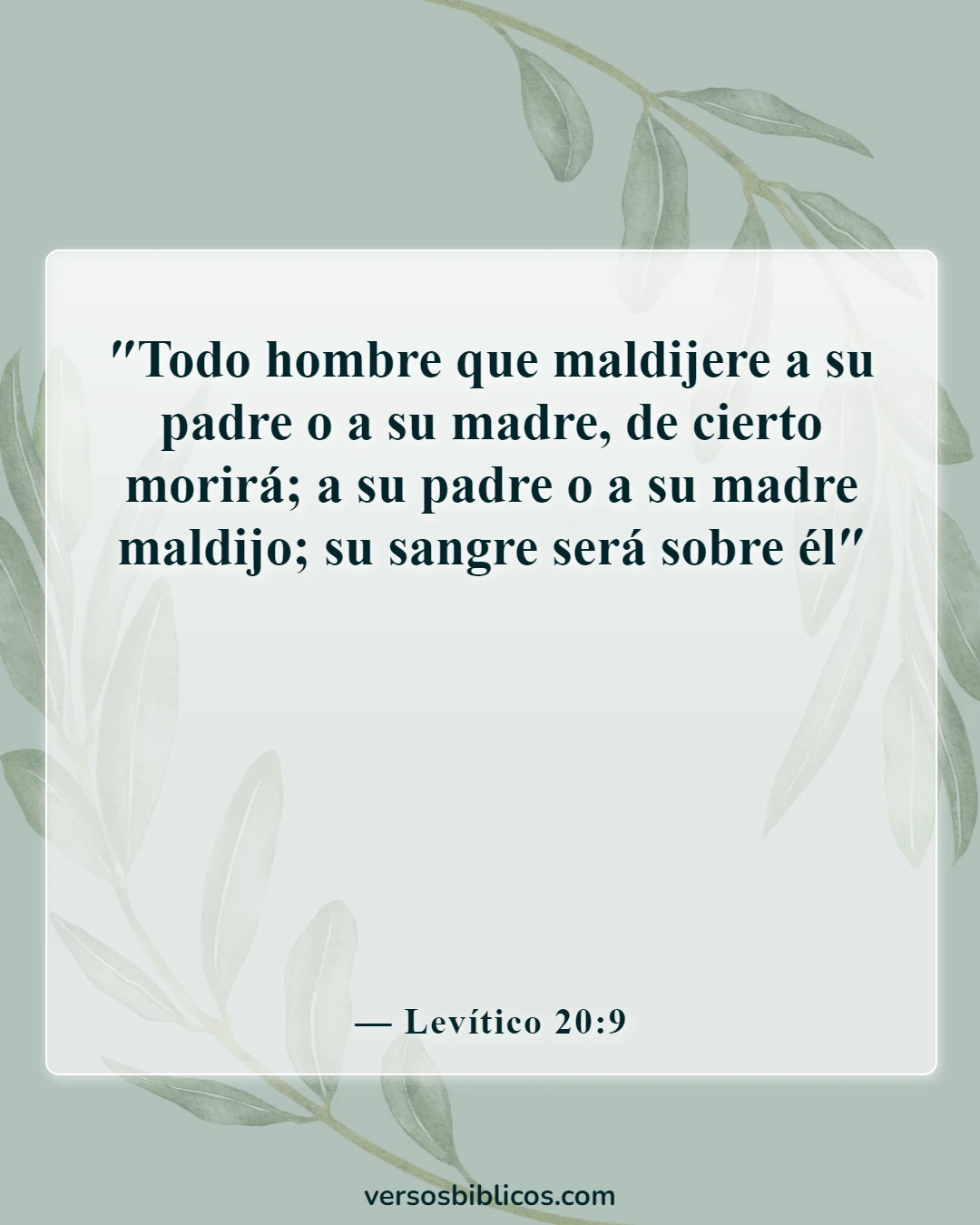 Versículos de la Biblia sobre la falta de respeto a los padres (Levítico 20:9)
