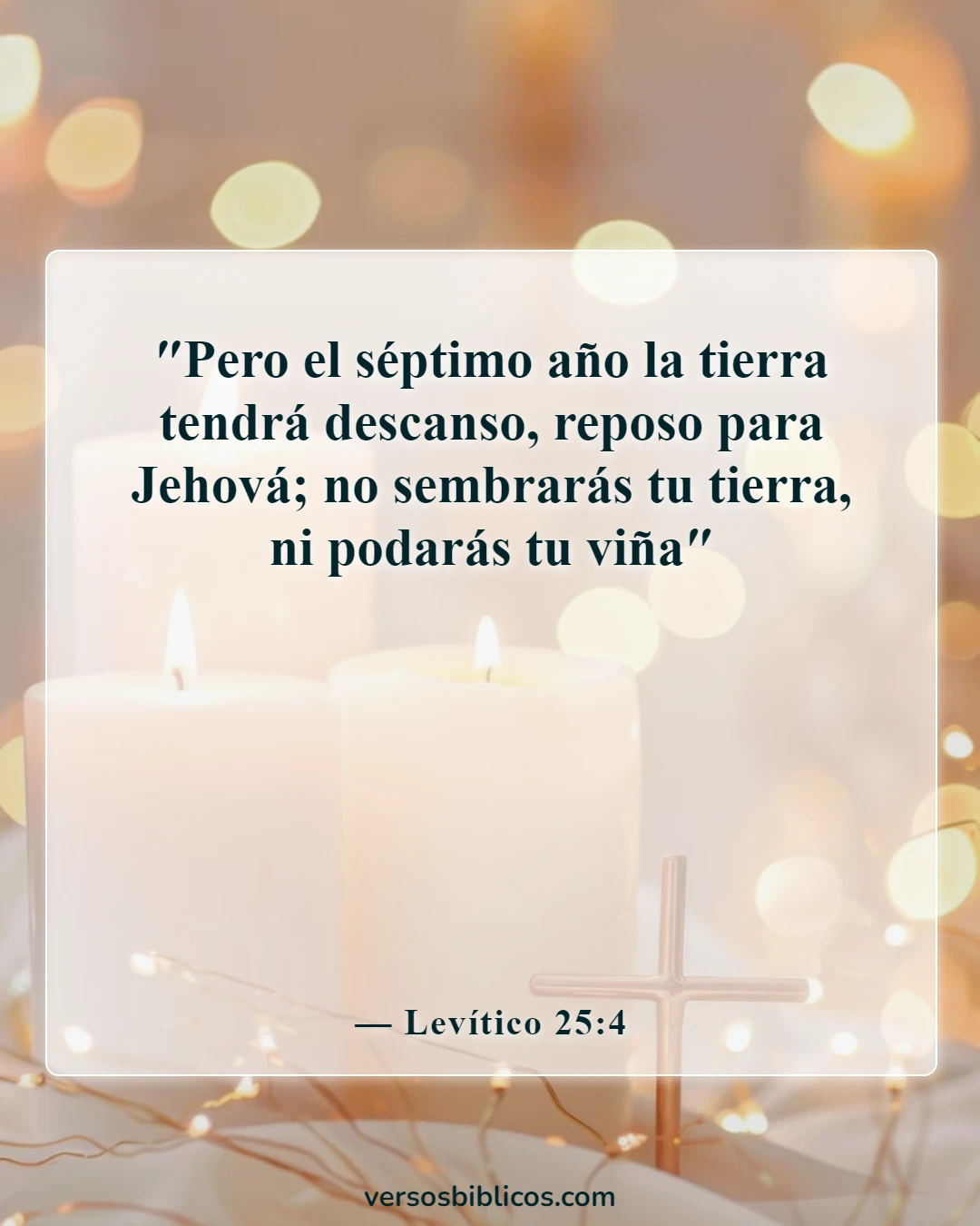 Versículos de la Biblia sobre el sábado (Levítico 25:4)