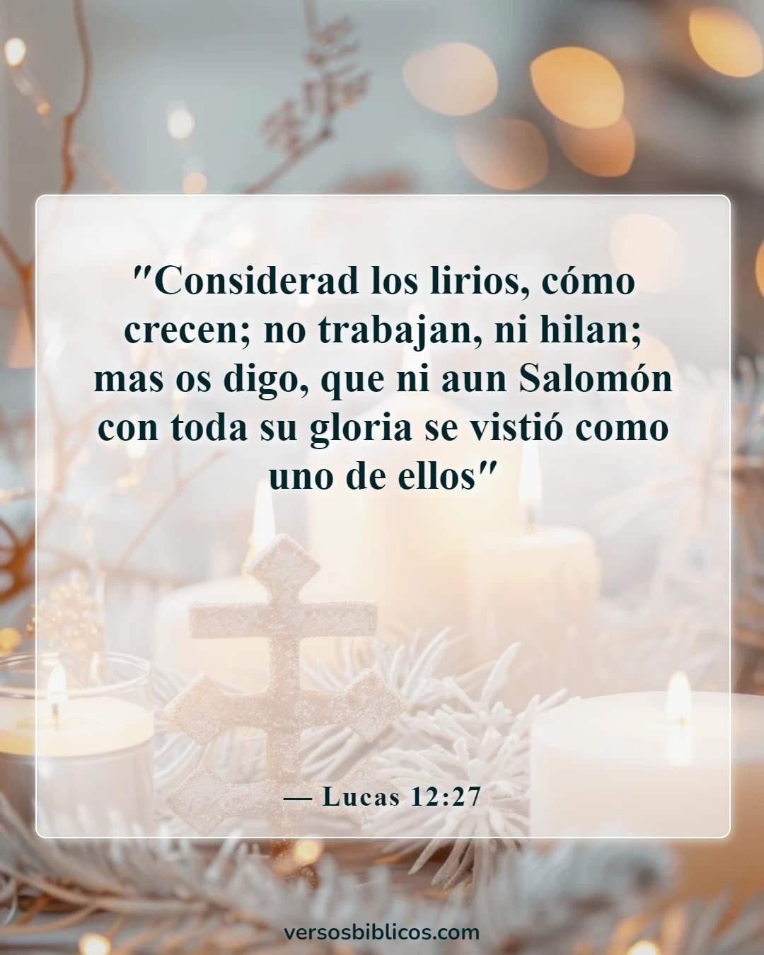 Versículos de la Biblia sobre las flores que florecen (Lucas 12:27)