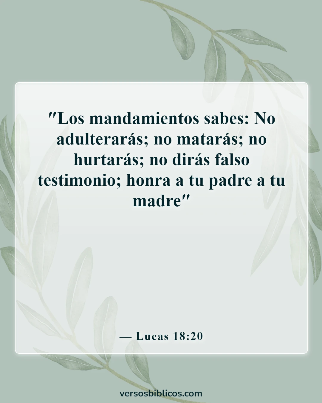 Versículos de la Biblia sobre dar falso testimonio (Lucas 18:20)