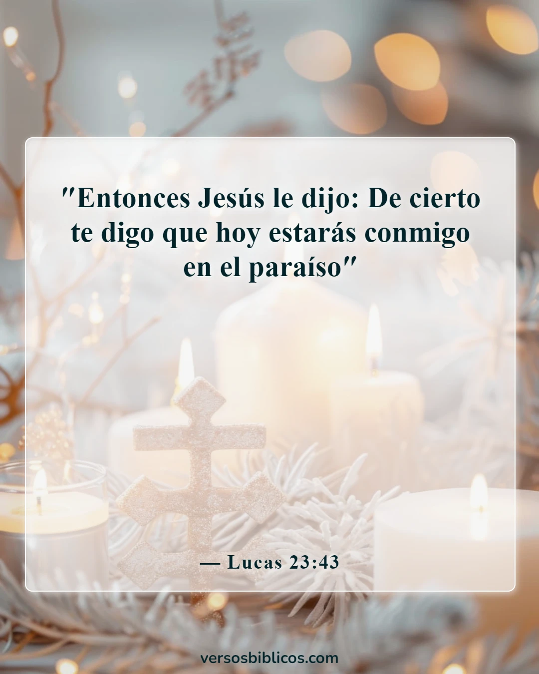 Versículos de la Biblia sobre el duelo por la pérdida de un ser querido (Lucas 23:43)