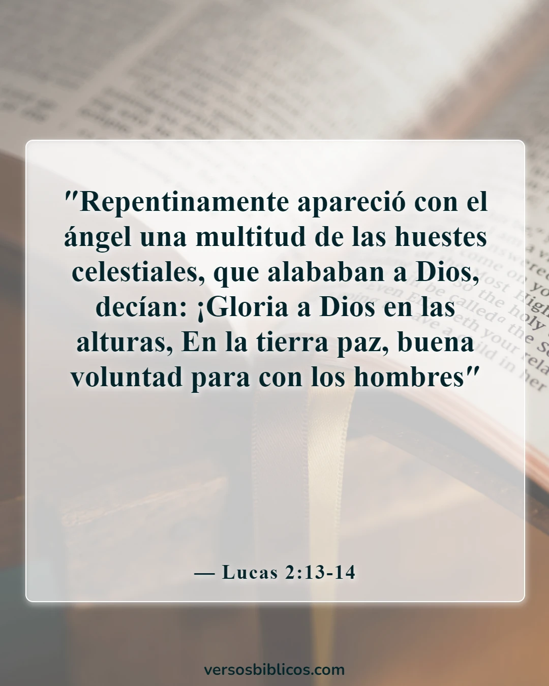 Versículos de la Biblia sobre la Navidad (Lucas 2:13-14)