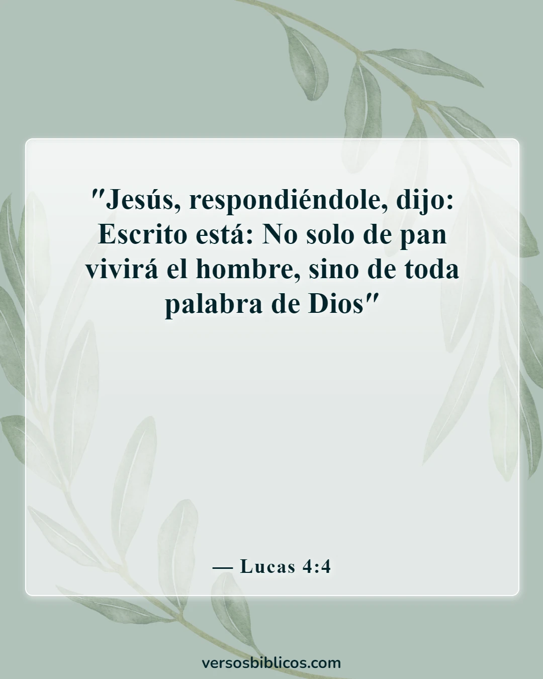 Versículos de la Biblia sobre alimento para el alma (Lucas 4:4)