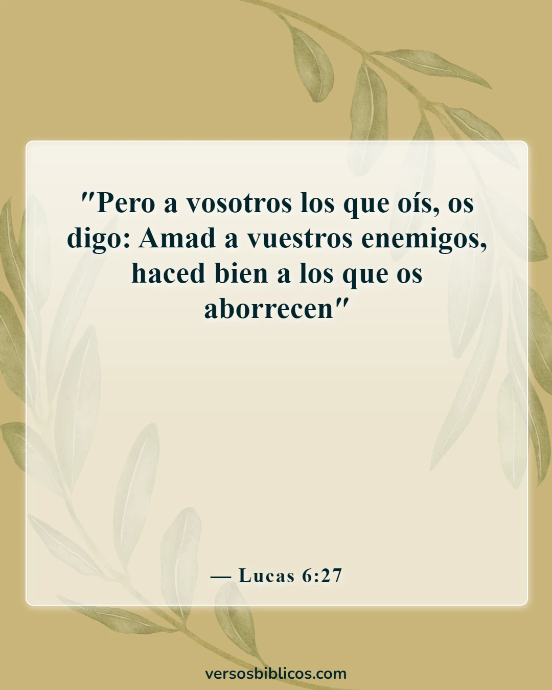 Versículos de la Biblia sobre Jesús (Lucas 6:27)