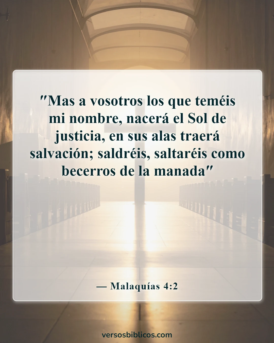 Versículos de la Biblia sobre el sol (Malaquías 4:2)