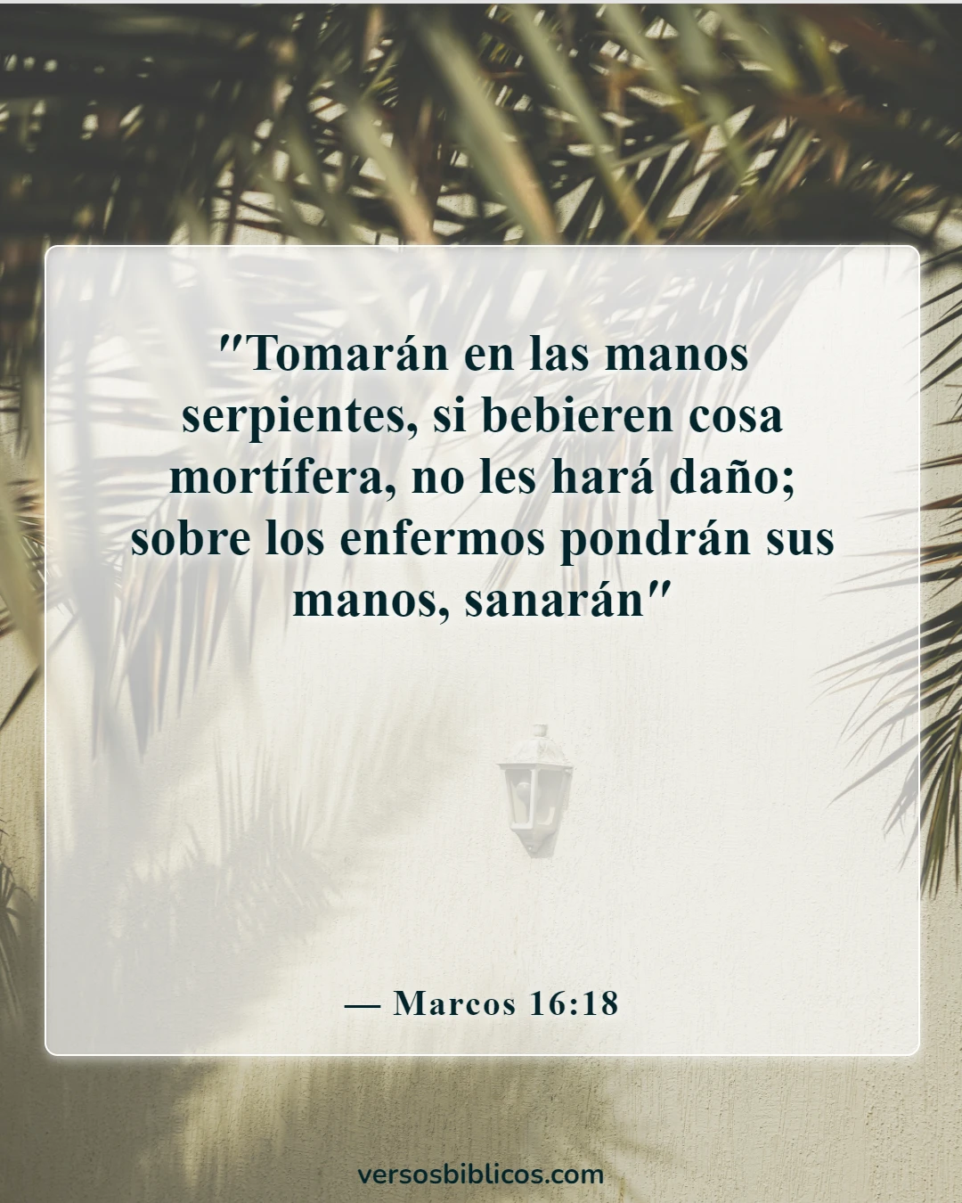 Versículos de la Biblia sobre la curación de enfermedades (Marcos 16:18)