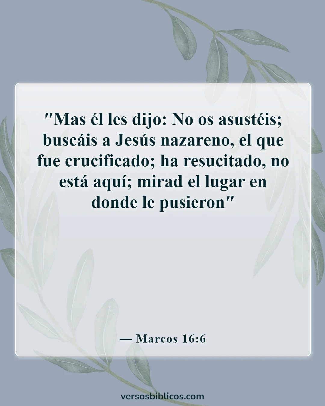 Versículos de la Biblia sobre Jesús venciendo a la muerte (Marcos 16:6)