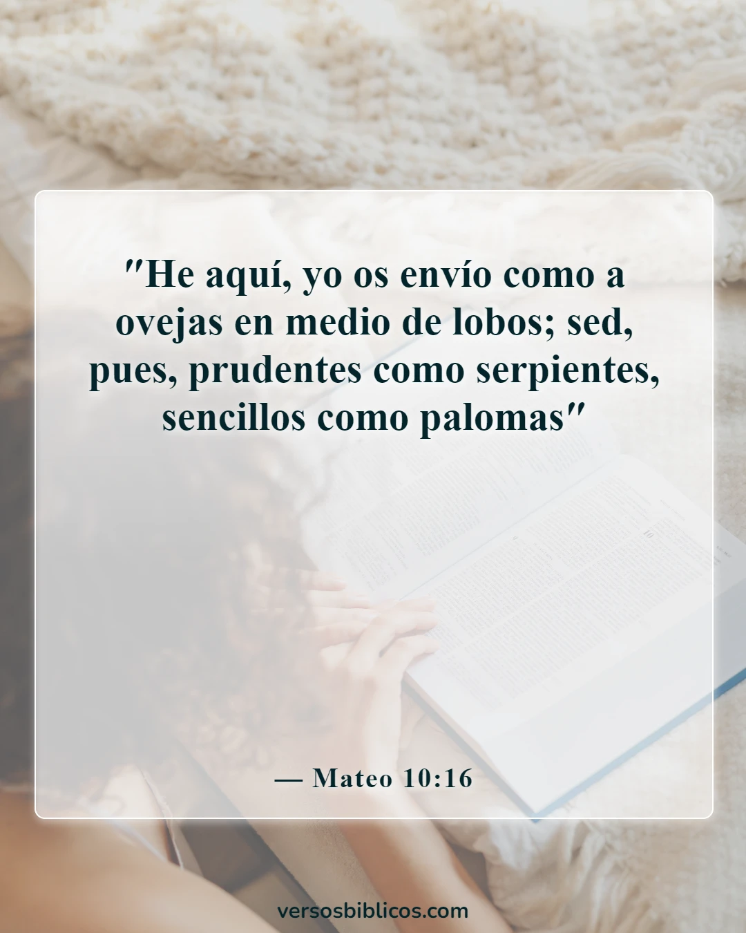 Versículos de la Biblia sobre ser amable con los malos (Mateo 10:16)