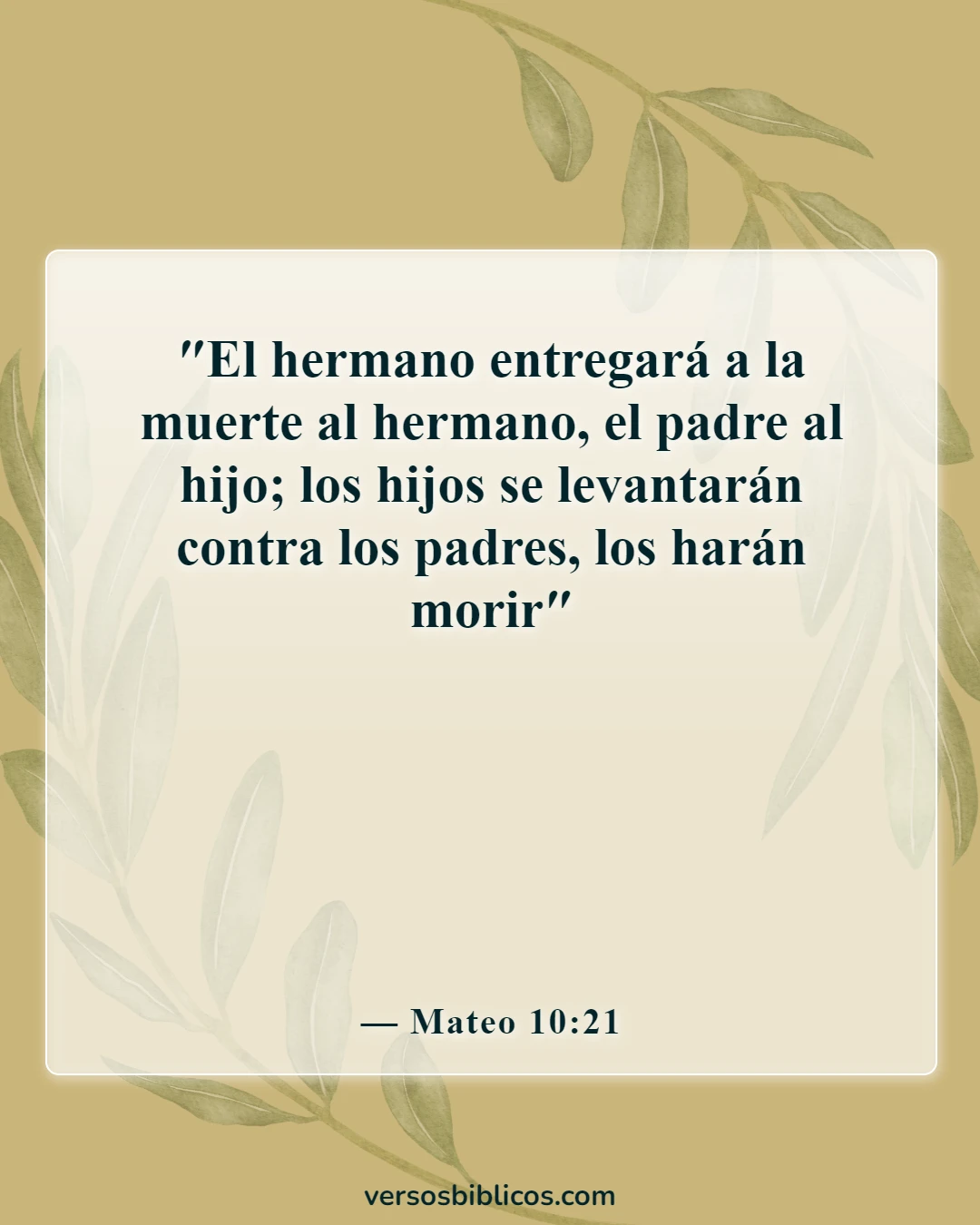 Versículos de la Biblia sobre las peleas y la traición entre hermanos (Mateo 10:21)