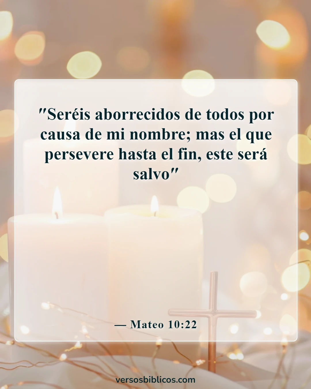 Versículos de la Biblia sobre la persecución (Mateo 10:22)