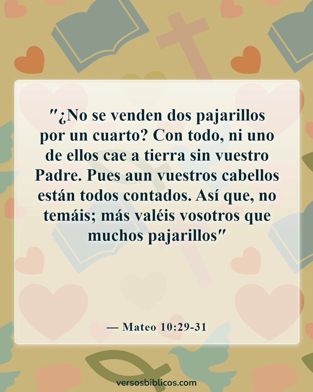Versículos de la Biblia sobre el amor de un padre por su hija (Mateo 10:29-31)