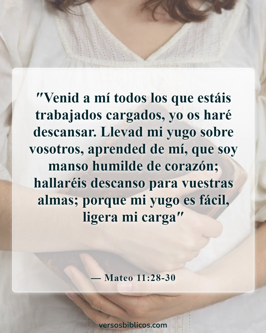 Versículos de la Biblia sobre la soledad (Mateo 11:28-30)