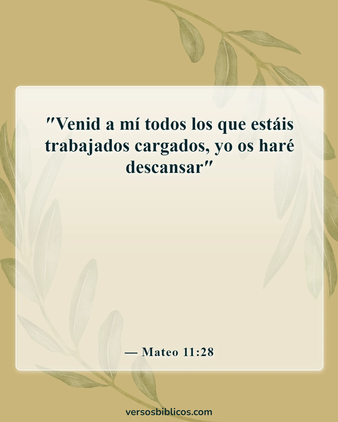 Versículos de la Biblia sobre el duelo por la pérdida de un ser querido (Mateo 11:28)