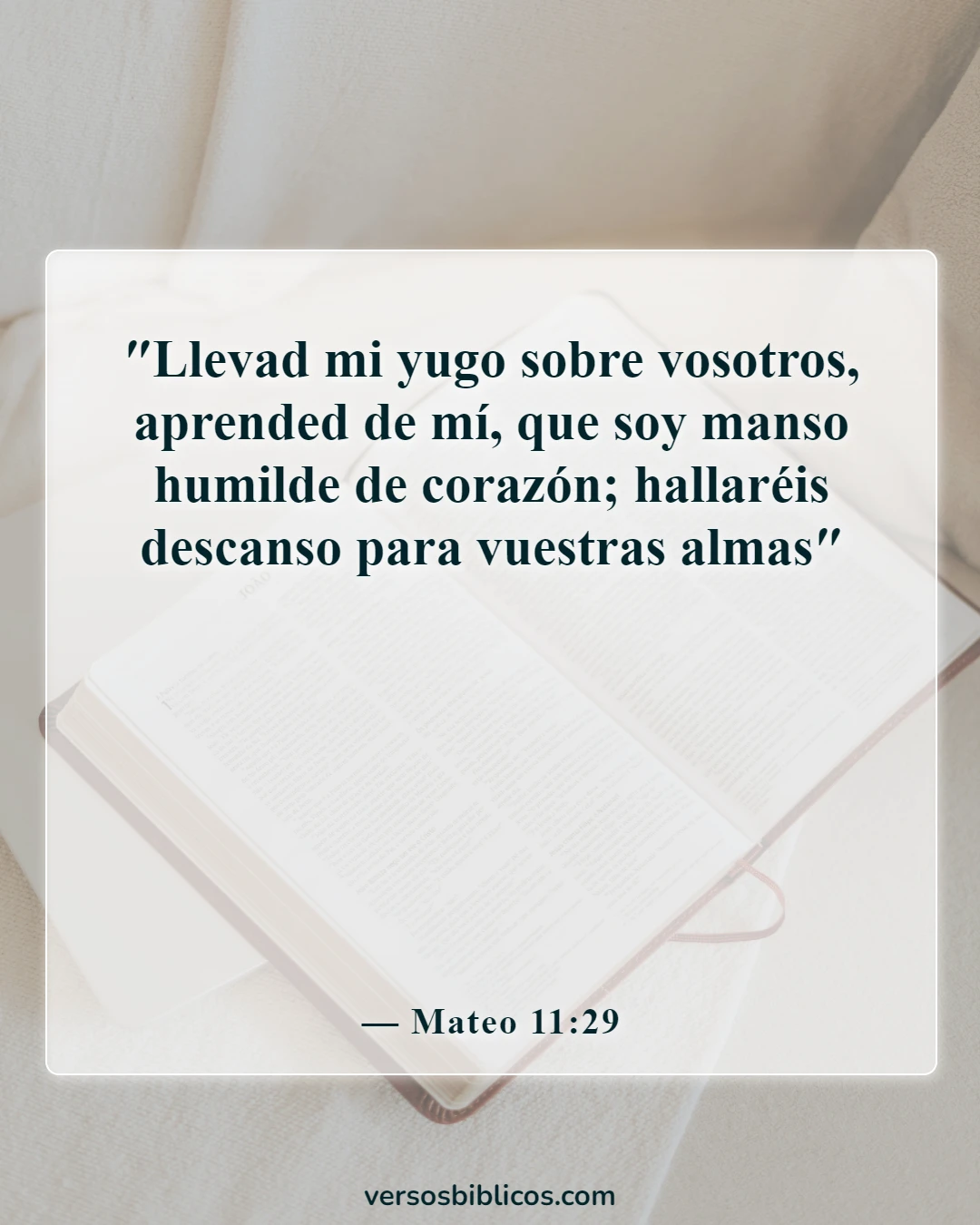 Versículos de la Biblia sobre Dios es humilde (Mateo 11:29)
