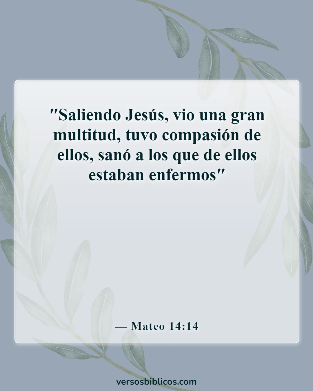 Versículos de la Biblia sobre el cuidado de los enfermos (Mateo 14:14)