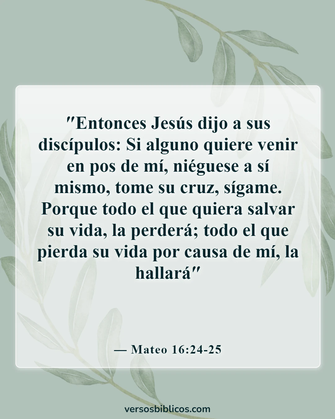 Versículos de la Biblia sobre las expectativas (Mateo 16:24-25)