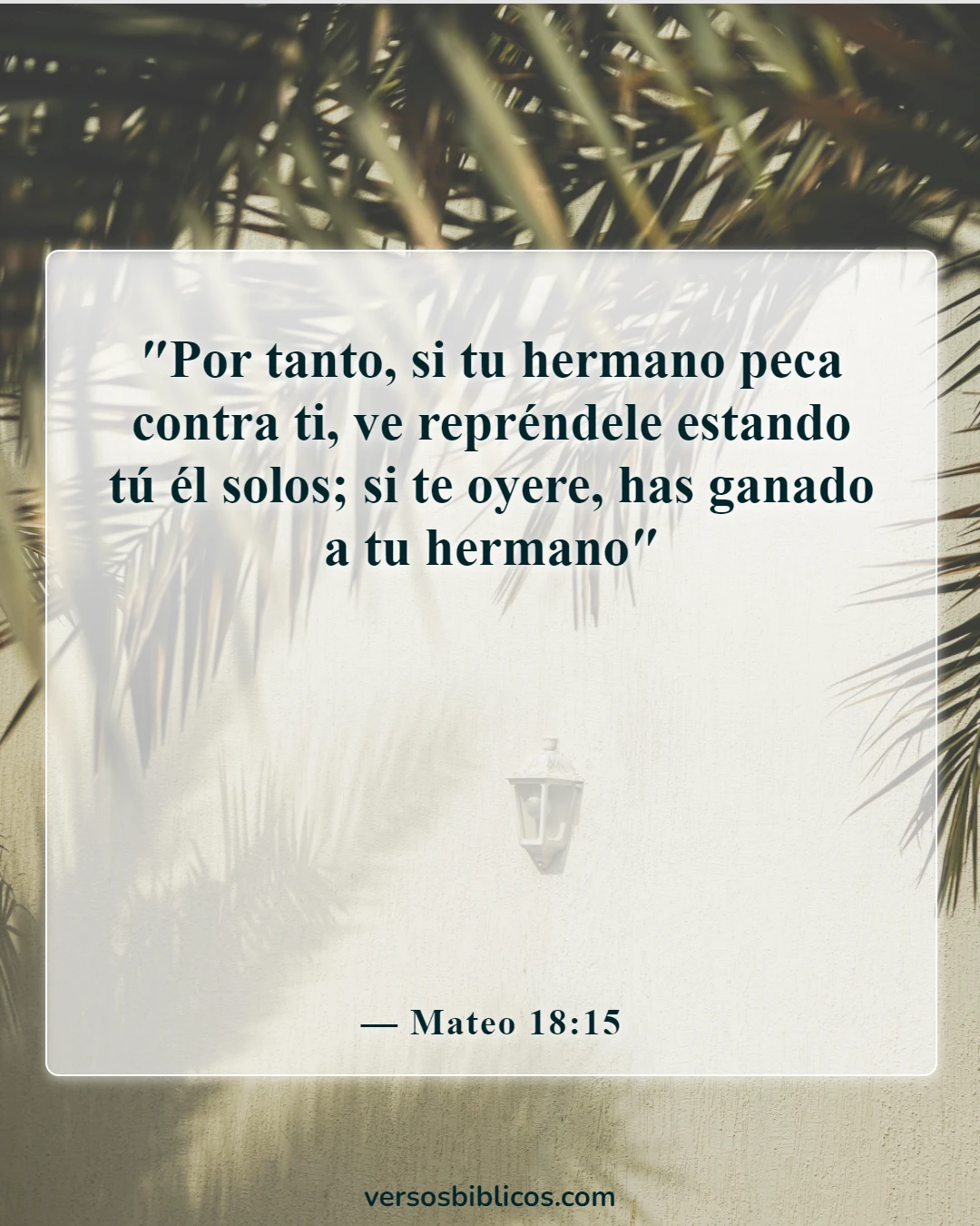 Versículos de la Biblia sobre los conflictos (Mateo 18:15)