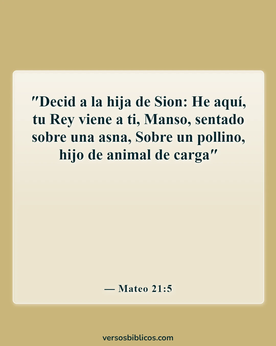 Versículos de la Biblia sobre Dios es humilde (Mateo 21:5)
