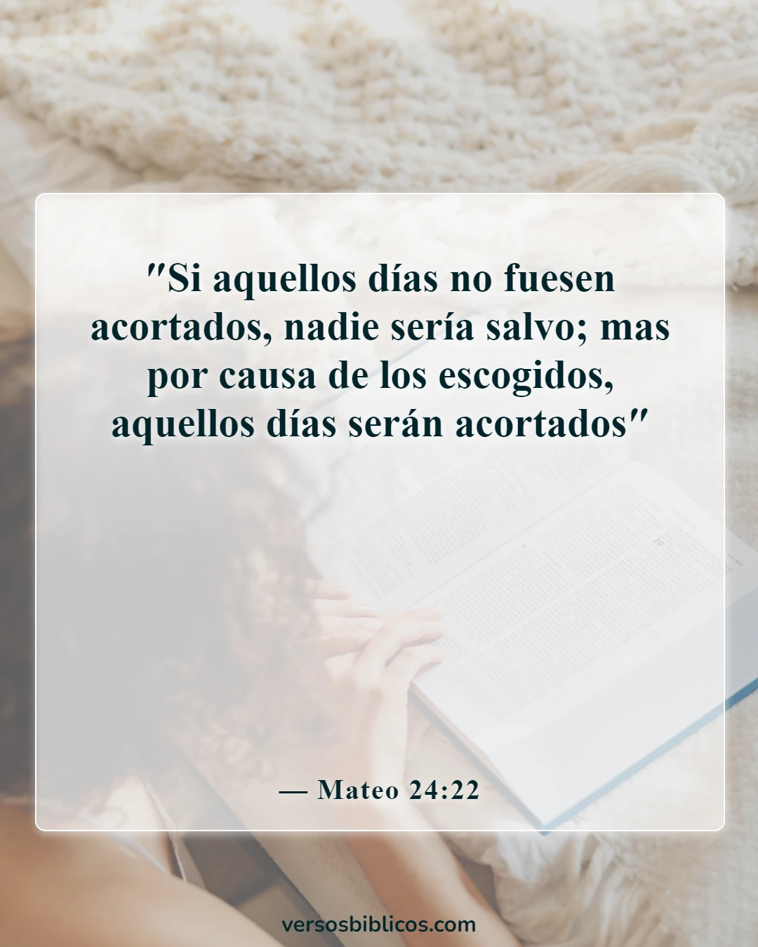 Versículos de la Biblia sobre la abominación desoladora (Mateo 24:22)