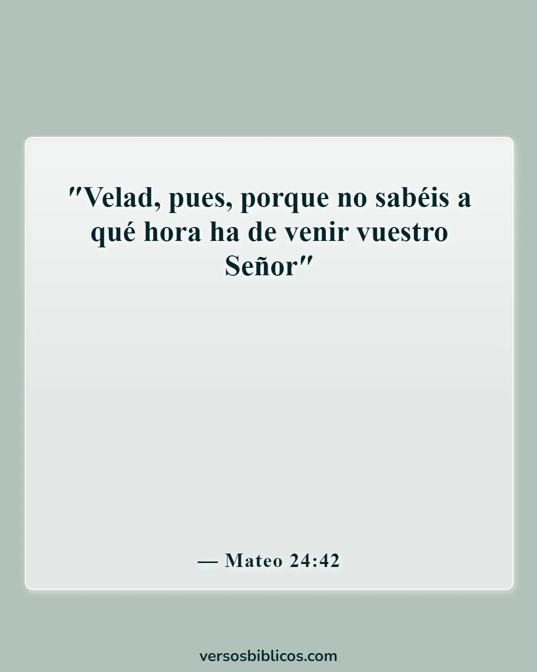 Versículos de la Biblia sobre el rapto (Mateo 24:42)