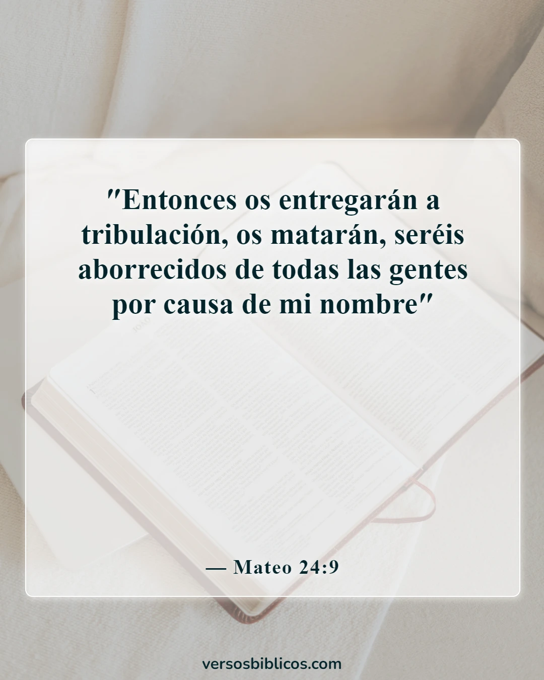Versículos de la Biblia sobre la persecución (Mateo 24:9)