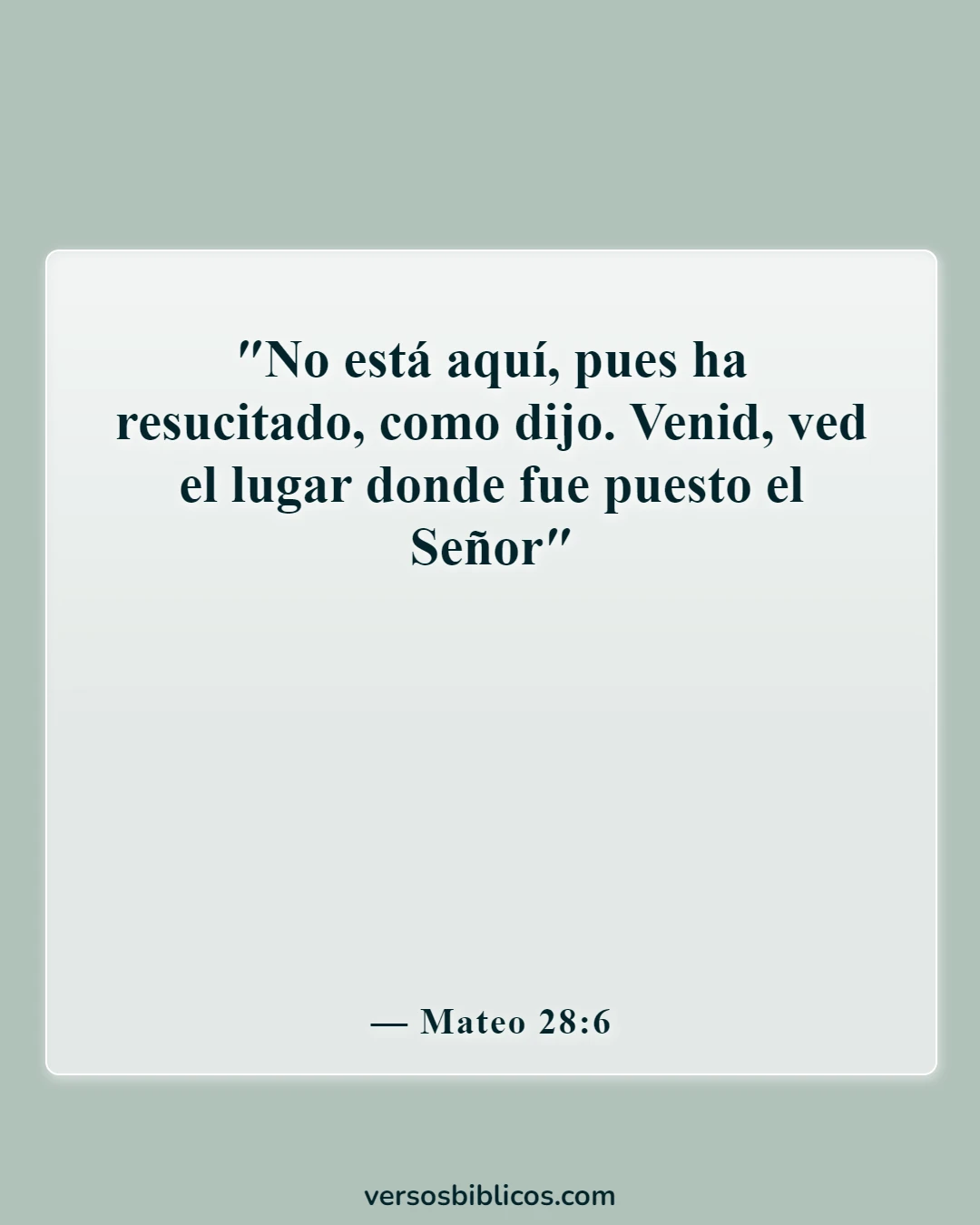 Versículos de la Biblia sobre Jesús (Mateo 28:6)
