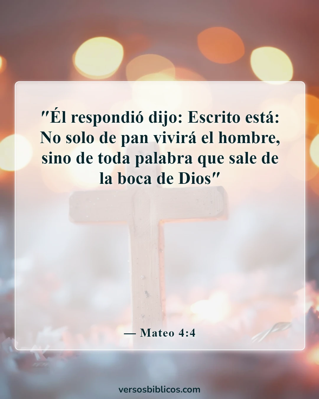 Versículos de la Biblia sobre la Palabra de Dios (Mateo 4:4)