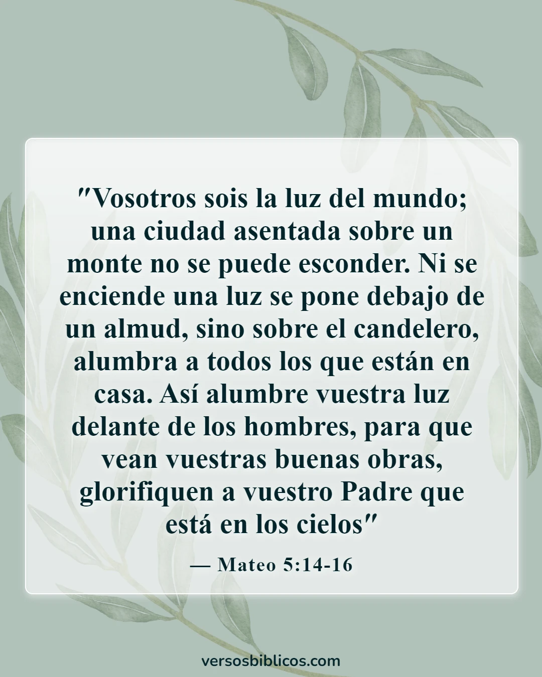 Versículos de la Biblia sobre los apartados del mundo (Mateo 5:14-16)