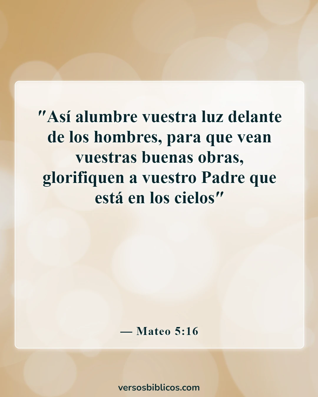Versículos de la Biblia sobre vivir la vida con propósito (Mateo 5:16)