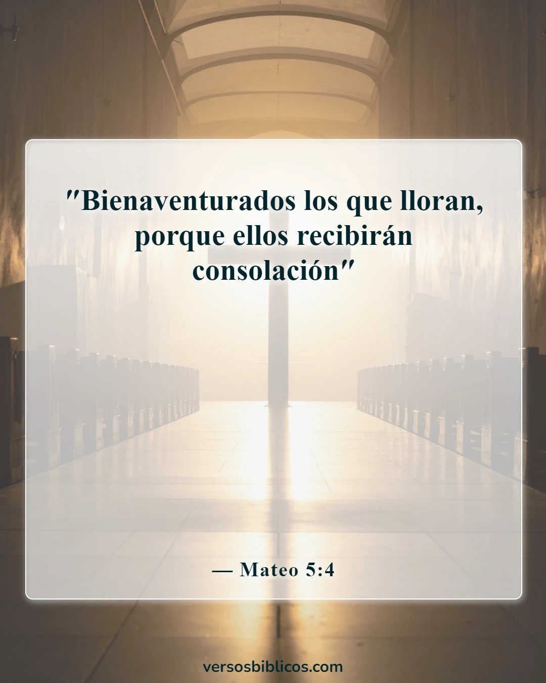 Versículos de la Biblia sobre el duelo por la pérdida de un ser querido (Mateo 5:4)