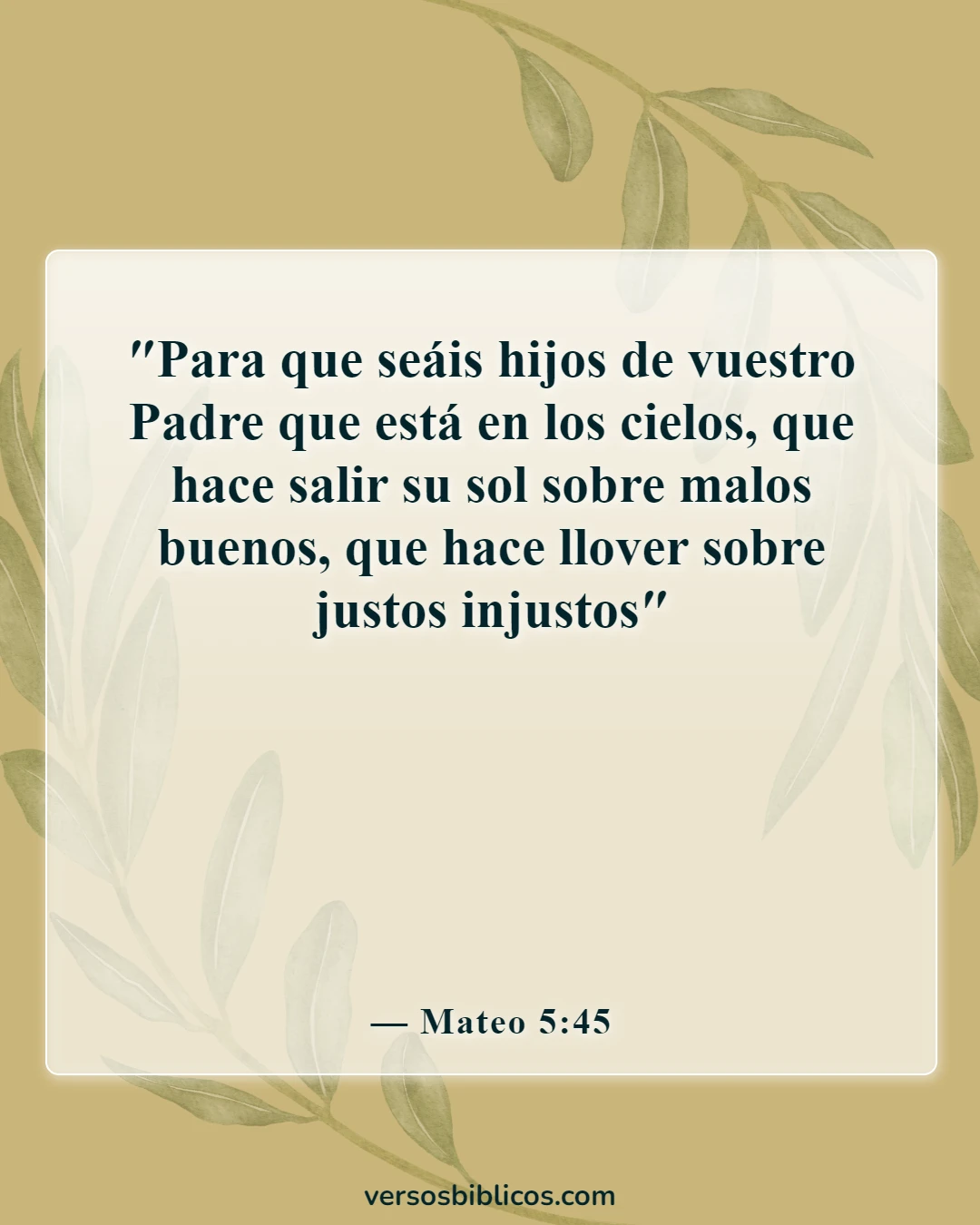 Versículos de la Biblia sobre el sol (Mateo 5:45)