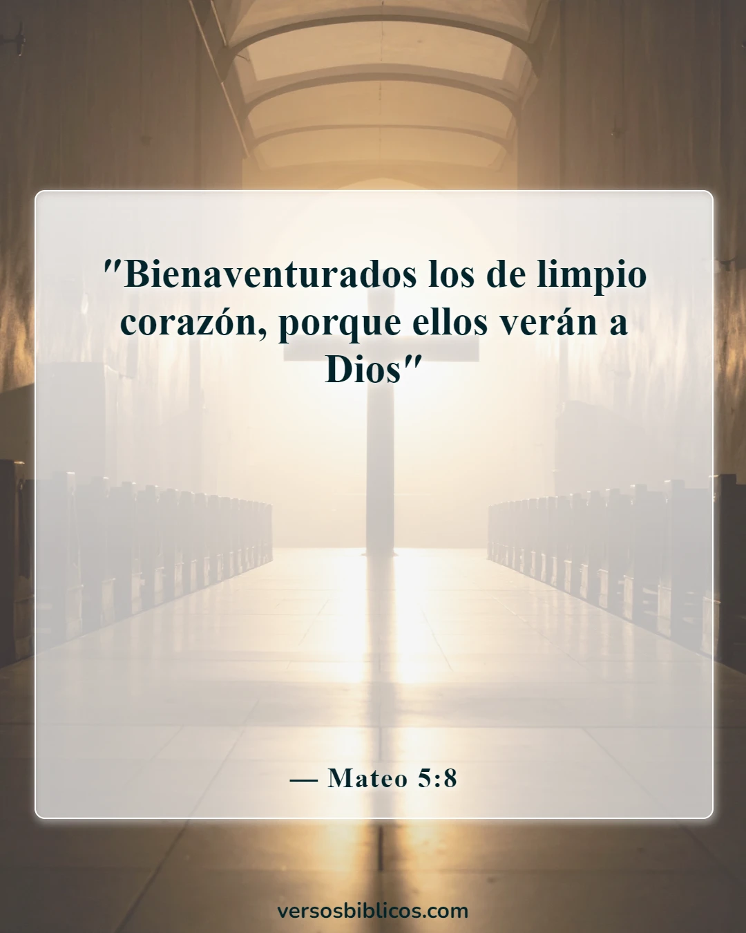 Versículos de la Biblia sobre la limpieza (Mateo 5:8)