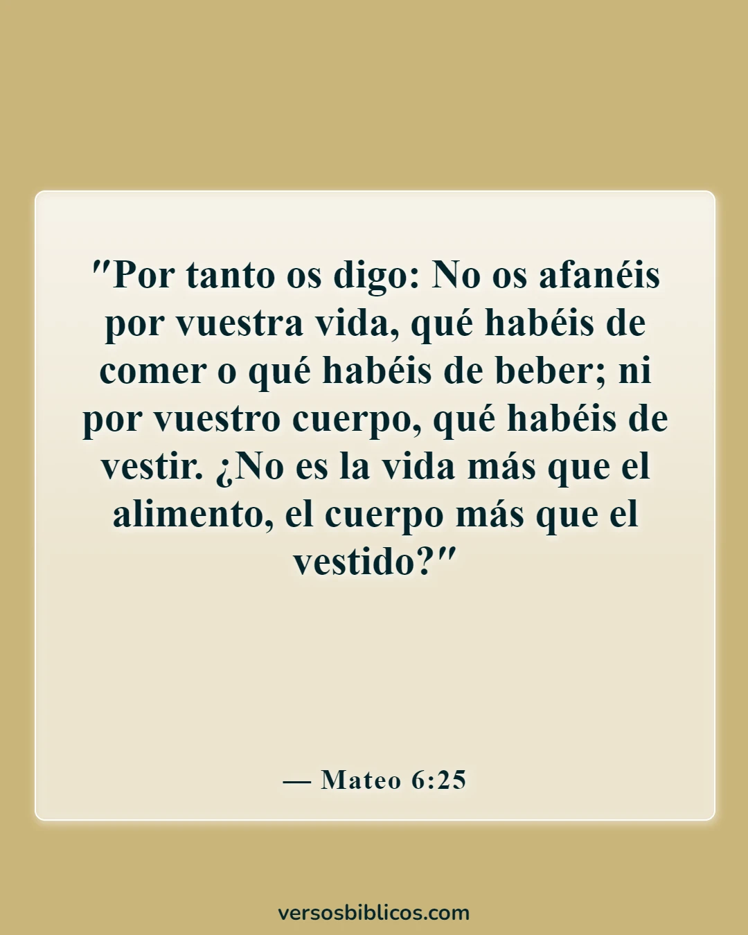 Versículos de la Biblia sobre ser un guerrero, no preocuparse (Mateo 6:25)