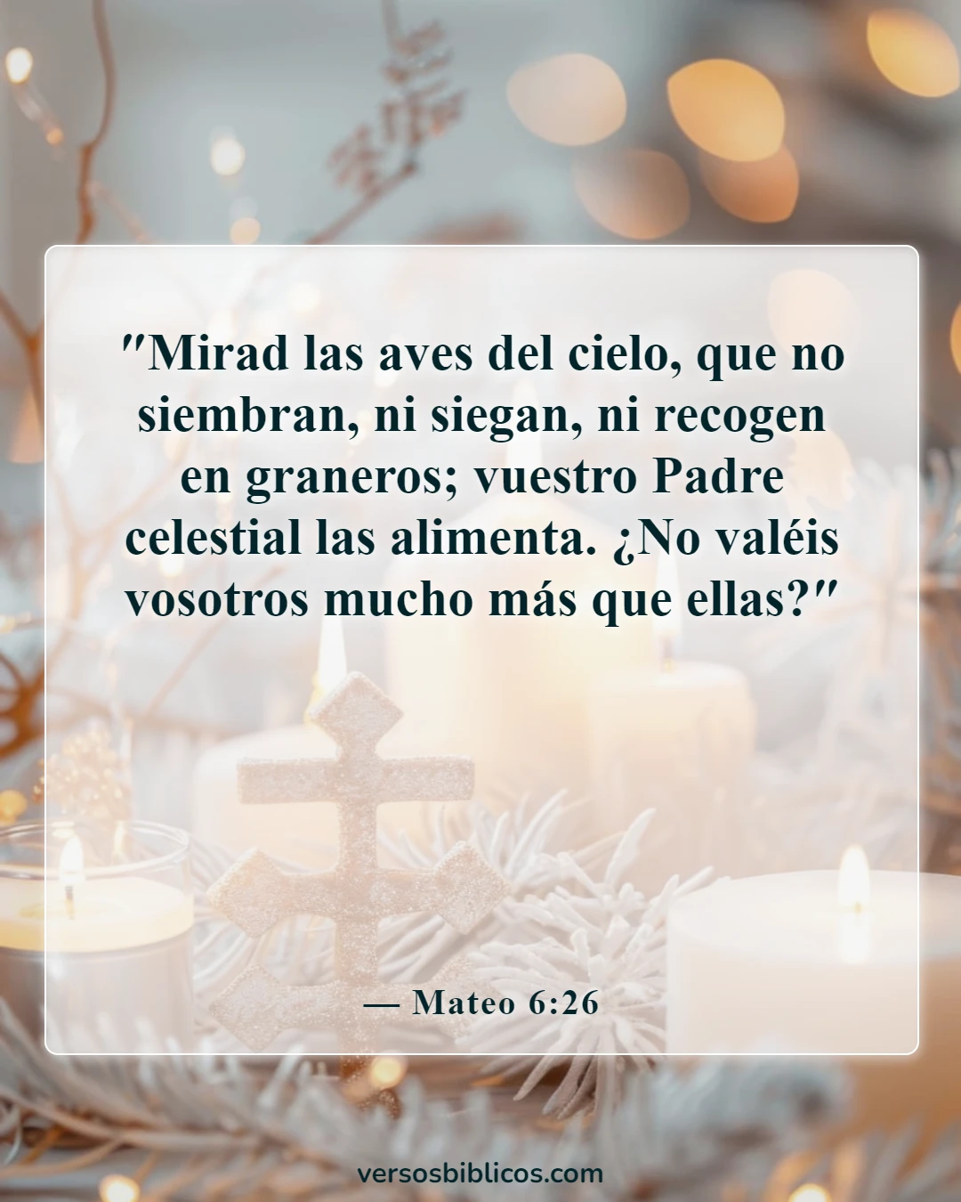 Versículos de la Biblia sobre sentirse inútil (Mateo 6:26)