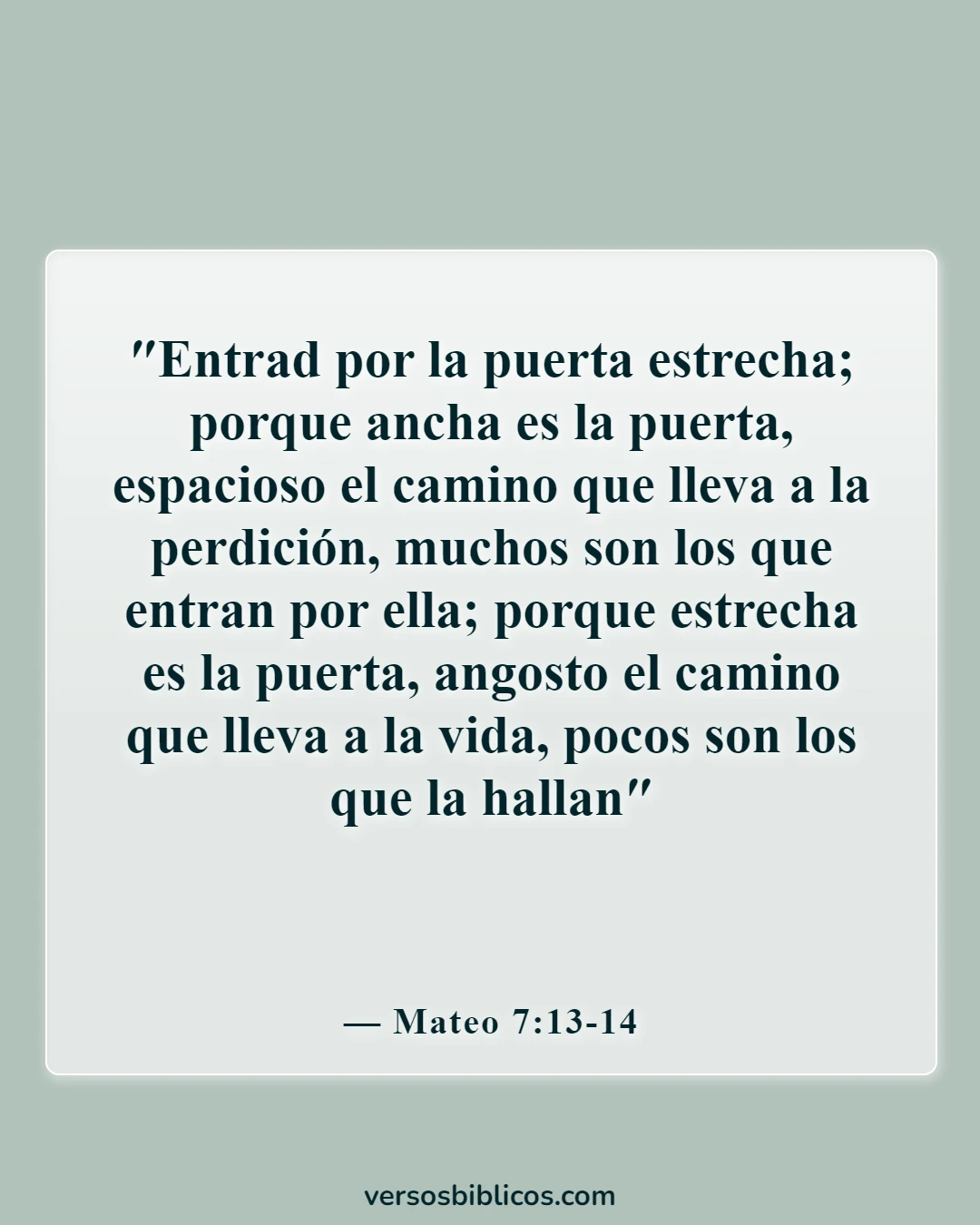 Versículos de la Biblia que prueban que la predestinación es incorrecta (Mateo 7:13-14)