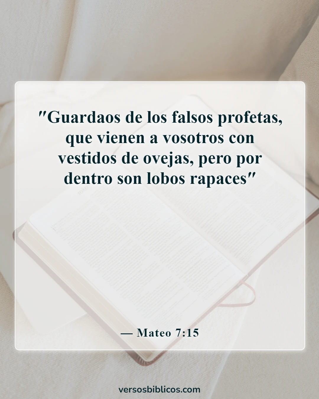Versículos de la Biblia sobre poderosas profecías (Mateo 7:15)