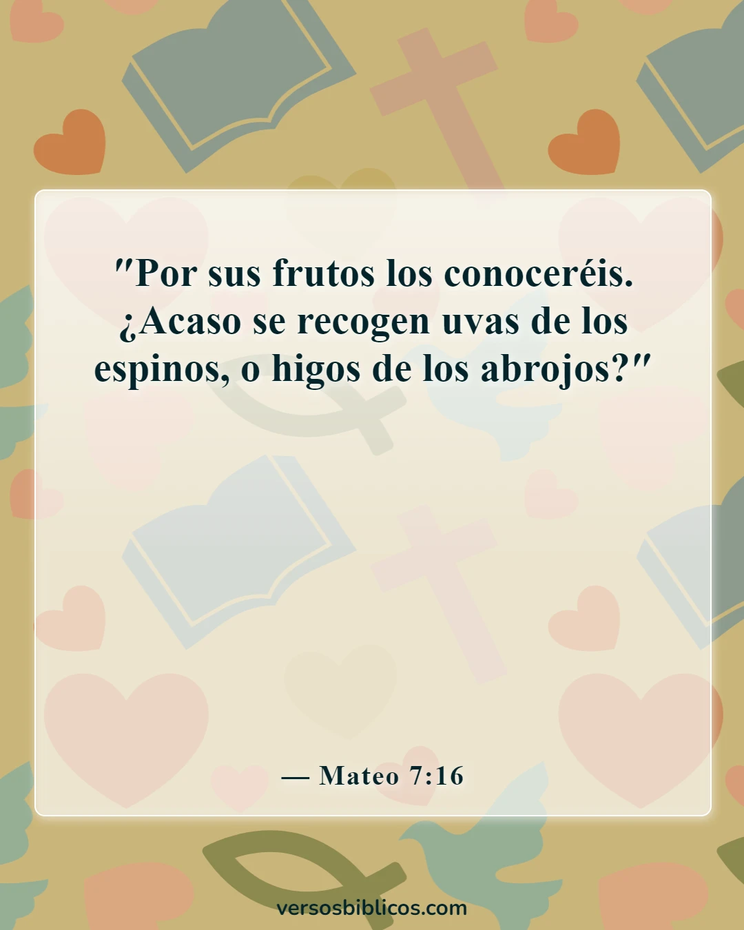 Versículos de la Biblia sobre la advertencia de los falsos profetas (Mateo 7:16)