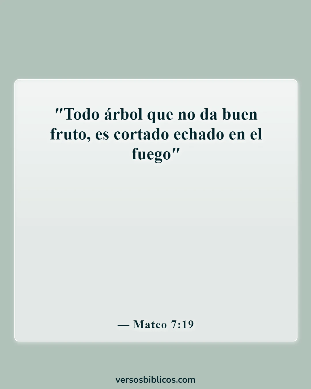 Versículos de la Biblia sobre la salvación y las buenas obras (Mateo 7:19)