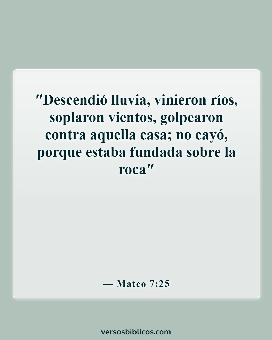 Versículos de la Biblia sobre arraigados y cimentados (Mateo 7:25)