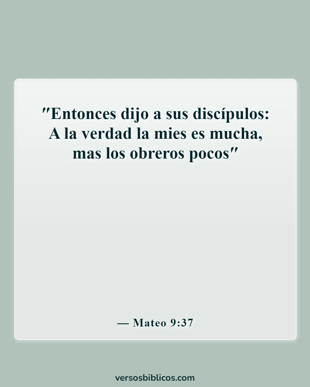 Versículos de la Biblia sobre orar por viajes misioneros (Mateo 9:37)