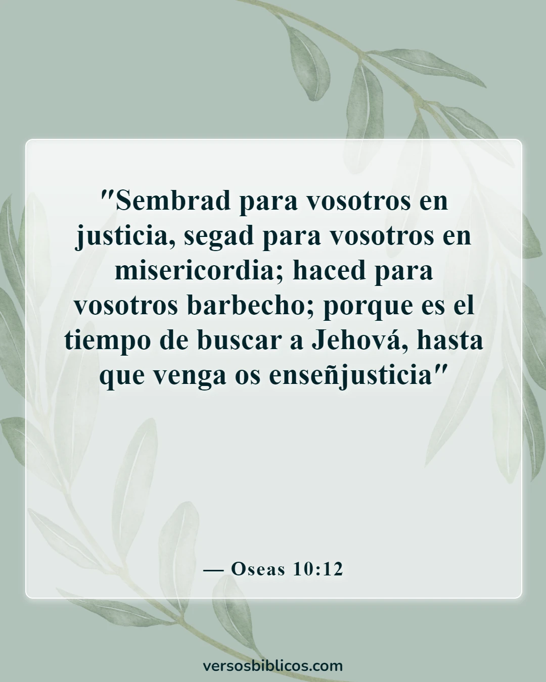 Versículos de la Biblia sobre la búsqueda de Dios (Oseas 10:12)